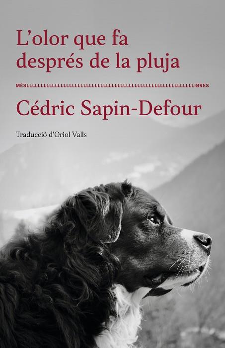 L´OLOR QUE FA DESPRES DE LA  PLUJA | 9788417353568 | SAPIN-DEFOUR, CEDRIC