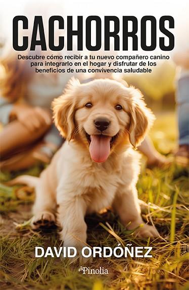 CACHORROS. DESCUBRE CÓMO RECIBIR A TU NUEVO COMPAÑERO CANINO PARA INTEGRARLO EN EL HOGAR Y DISFRUTAR DE LOS BENEFICIOS DE UNA CONVIVENCIA SALUDABLE | 9788419878663 | DAVID ORDÓÑEZ PÉREZ