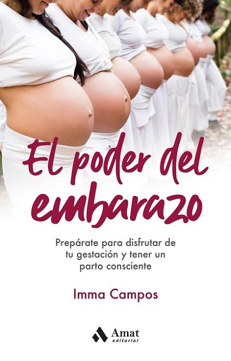 EL PODER DEL EMBARAZO. PREPARATE PARA DISFRUTAR DE TU GESTACION Y TENER UN PARTO CONSCIENTE | 9788418114885 | CAMPOS ORELLANA, IMMA