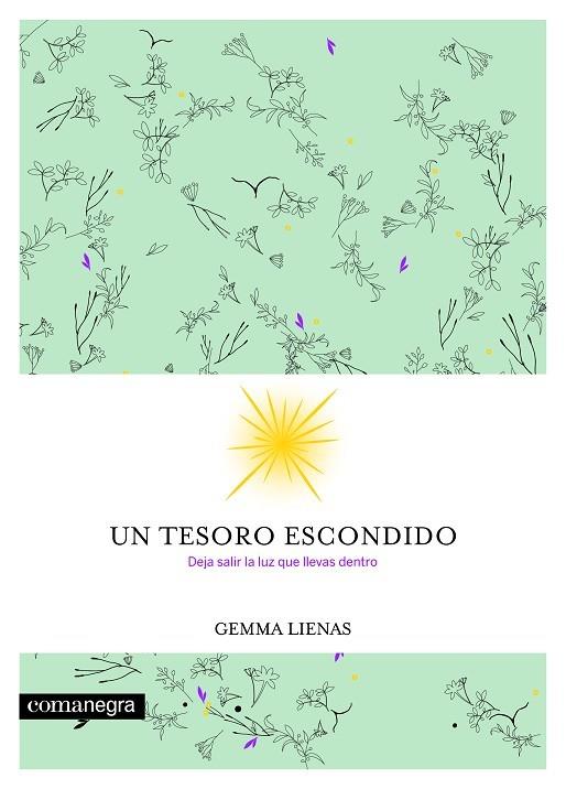 UN TESORO ESCONDIDO | 9788416605354 | LIENAS,GEMMA