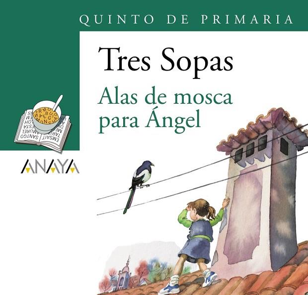 ALAS DE MOSCA PARA ANGEL / TRES SOPAS | 9788466747899 | CASALDERREY,FINA
