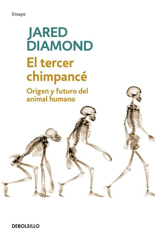 TERCER CHIMPANCE. EVOLUCION Y FUTURO DEL ANIMAL HUMANO | 9788483467497 | DIAMOND,JARED