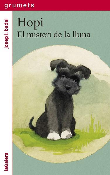 HOPI. EL  MISTERI DE LA LLUNA | 9788424675271 | BADAL, JOSEP LL