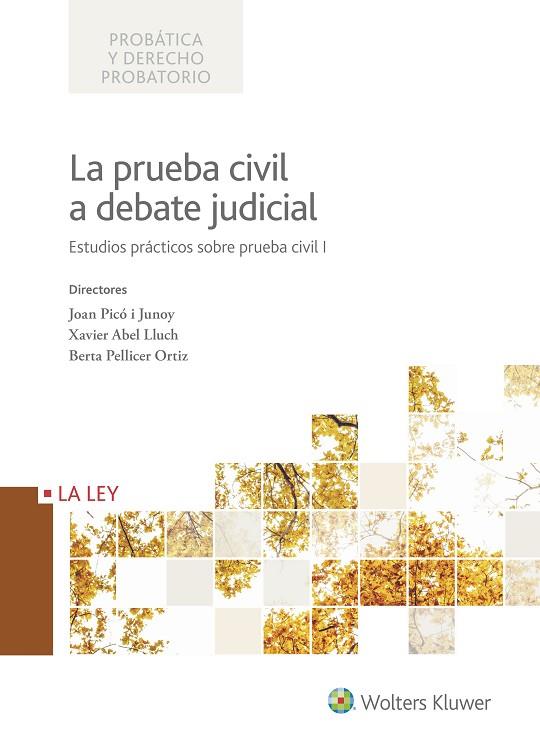 PRUEBA CIVIL A DEBATE JUDICIAL. ESTUDIOS PRACTICOS | 9788490206799 | PICO I JUNOY,JOAN ABEL LLUCH,XAVIER