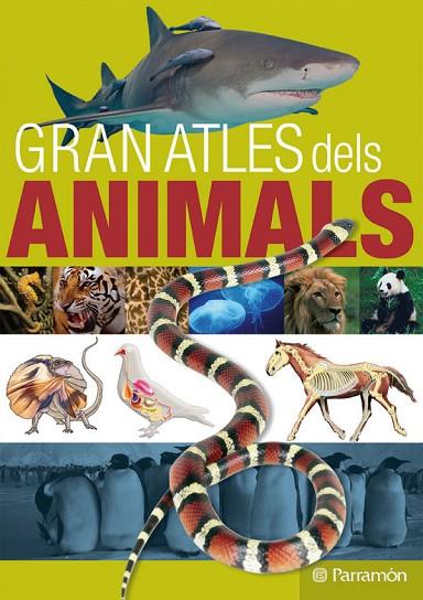 GRAN ATLES DELS ANIMALS | 9788434232242 | REGALADO NAVARRO, GUSTAVO/JULIVERT ZAMARREÑO, ÀNGELS