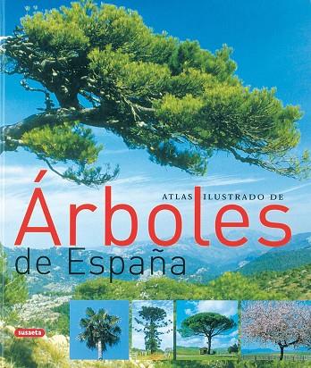 ATLAS ILUSTRADO DE ARBOLES DE ESPAÑA | 9788430558445 | ORTIZ,ISABEL