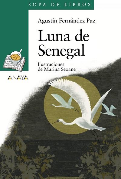 LUNA DE SENEGAL | 9788466784306 | FERNANDEZ PAZ,AGUSTIN