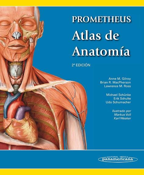 PROMETHEUS ATLAS DE ANATOMIA | 9788498357080 | GILROY,ANNE M.