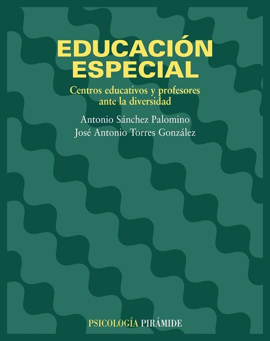 EDUCACION ESPECIAL CENTROS EDUCATIVOS Y PROFESORES ANTE LA DIVERSIDAD | 9788436816501 | SANCHEZ PALOMINO,ANTONIO TORRES GONZALEZ,JOSE ANTONIO