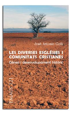 LES DIVERSES ESGLÉSIES I COMUNITATS CRISTIANES. GÈNESI I DESENVOLUPAMENT HISTÒRIC | 9788498057935 | GOÑI BEASOAIN DE PAULORENA, JOSÉ ANTONIO