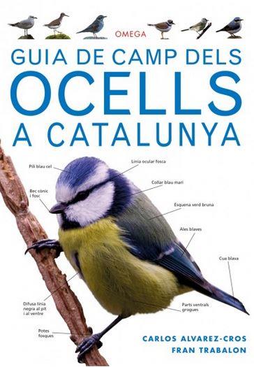 GUIA DE CAMP DELS OCELLS A CATALUNYAALVAREZ-CROS, | 9788428216562 | ALVAREZ-CROS,CARLOS / TRABALON,FRAN