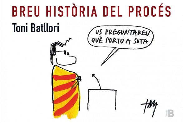 BREU HISTORIA DEL PROCES | 9788466657143 | BATLLORI,TONI