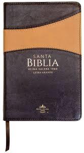 SANTA BIBLIA REINA VALERA 1960 LETRA GRANDE PIEL MARRON | 9798885160315