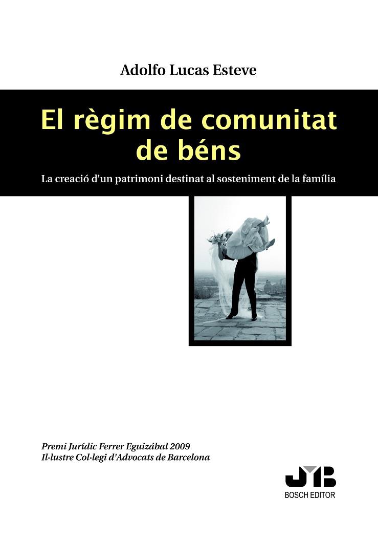 REGIM DE COMUNITAT DE BENS. LA CREACIO D,UN PATRIMONI DESTINAT AL SOSTENIMENT DE LA FAMILIA | 9788476988954 | LUCAS ESTEVE,A.