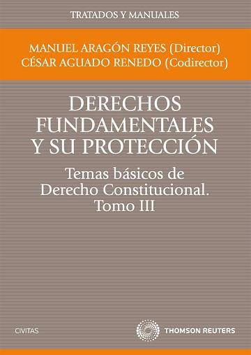 DERECHOS FUNDAMENTALES Y SU PROTECCION. TEMAS BASICOS DE DERECHO CONSTITUCIONAL. TOMO 3 | 9788447035366 | AGUADO RENEDO,CESAR