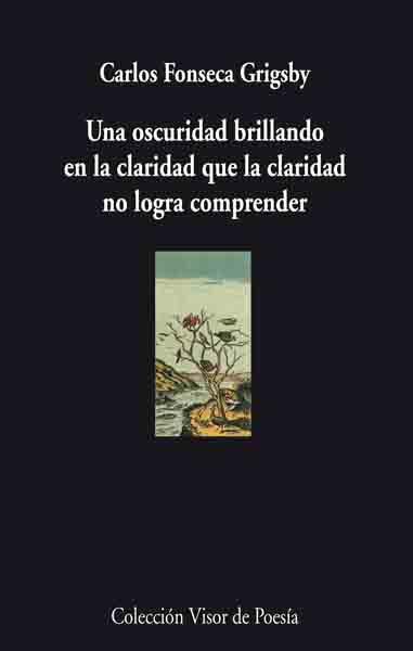 UNA OSCURIDAD BRILLANDO EN LA CLARIDAD QUE LA CLARIDAD NO LOGRA COMPRENDER | 9788475226811 | FONSECA,CARLOS