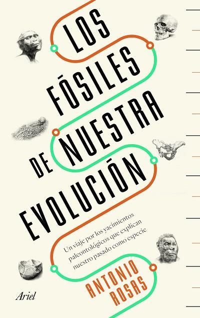 LOS FÓSILES DE NUESTRA EVOLUCIÓN. UN VIAJE POR LOS YACIMIENTOS PALEONTOLÓGICOS QUE EXPLICAN NUESTRO PASADO COMO ESPECIE | 9788434429642 | ROSAS, ANTONIO