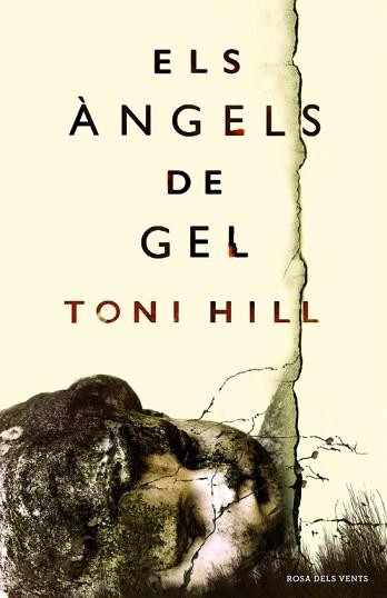 ANGELS DE GEL | 9788416430154 | HILL,TONI