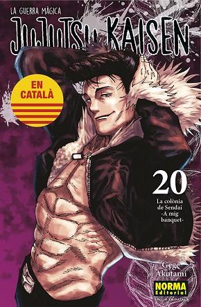 JUJUTSU KAISEN 20 CATALA | 9788467969924 | AKUTAMI, GEGE