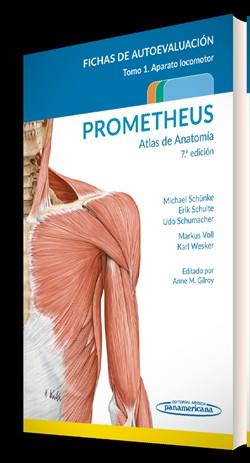 PROMETHEUS. ATLAS DE ANATOMÍA.FICHAS DE AUTOEVALUACIÓN | 9788411060370 | SCHÜNKE, MICHAEL / SCHULTE, ERIK / SCHUMACHER, UDO