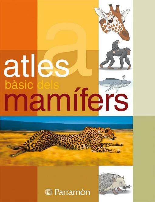 ATLES BASIC DELS MAMIFERS | 9788434229525 | JULIVERT ZAMARREÑO, ÀNGELS