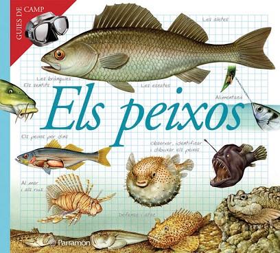 PEIXOS | 9788434228405 | JULIVERT ZAMARREÑO, ÀNGELS