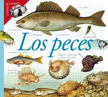 PECES | 9788434228412 | JULIVERT ZAMARREÑO, ÀNGELS