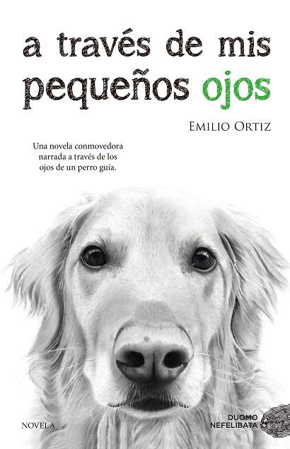 A TRAVES DE MIS PEQUEÑOS OJOS | 9788416634682 | ORTIZ,EMILIO