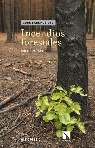 INCENDIOS FORESTALES | 9788483197141 | PAUSAS,JULI G.