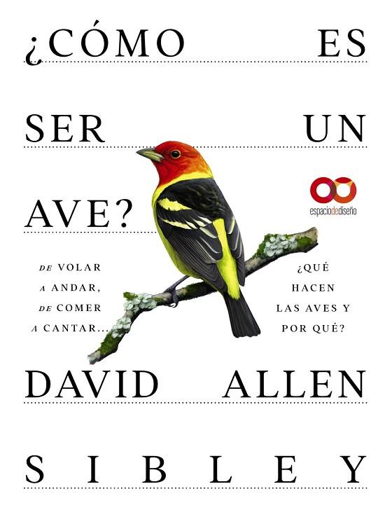 ¿CÓMO ES SER UN AVE? DE VOLAR A ANDAR, DE COMER A CANTAR... ¿QUÉ HACEN LAS AVES Y POR QUE? | 9788441549050 | ALLEN SIBLEY, DAVID