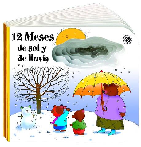 12 MESES DE SOL Y DE LLUVIA | 9788490249147 | MICHELINI, CARLO ALBERTO