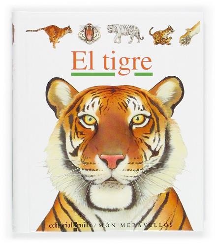 TIGRE | 9788466106184 | GALLIMARD JEUNESSE, ÉDITIONS