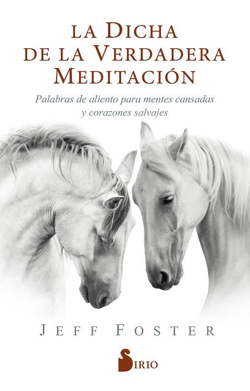 LA DICHA DE LA VERDADERA MEDITACIÓN. PALABRAS DE ALIENTO PARA MENTES CANSADAS Y CORAZONES SALVAJES | 9788418000522 | FOSTER, JEFF