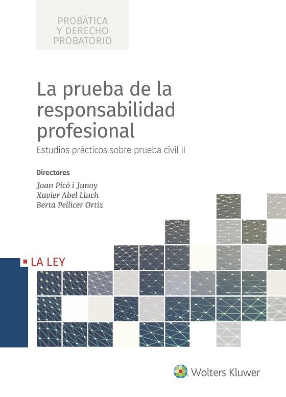 LA PRUEBA DE LA RESPONSABILIDAD PROFESIONAL. ESTUDIOS PRÁCTICOS SOBRE PRUEBA CIVIL II | 9788490207710 | PICÓ I JUNOY, JOAN/ABEL LLUCH, XAVIER/PELLICER ORTIZ, BERA