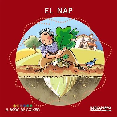 NAP. LLETRA DE PAL I CURSIVA | 9788448924614