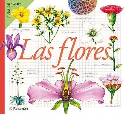 FLORES | 9788434229617 | JULIVERT ZAMARREÑO, ÀNGELS