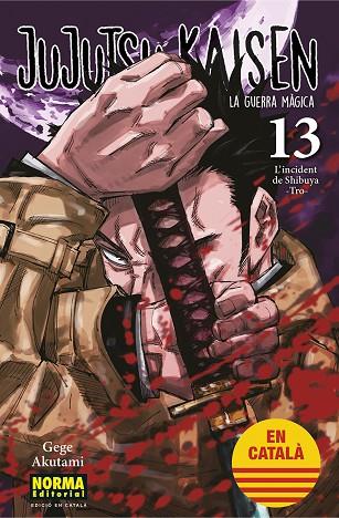 JUJUTSU KAISEN 13 (CATALA) | 9788467957679 | AKUTAMI, GEGE