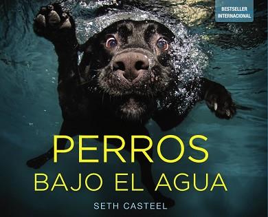 PERROS BAJO EL AGUA (FOTOS) | 9788441534612 | CASTEEL,SETH