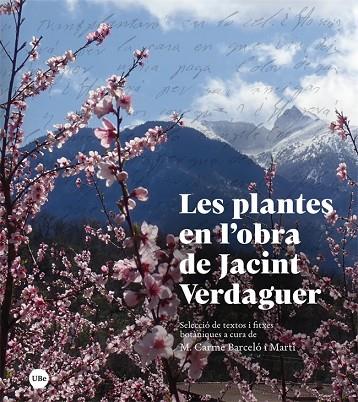 LES PLANTES EN L'OBRA DE JACINT VERDAGUER | 9788447540792 | BARCELÓ I MARTÍ, MARIA CARME