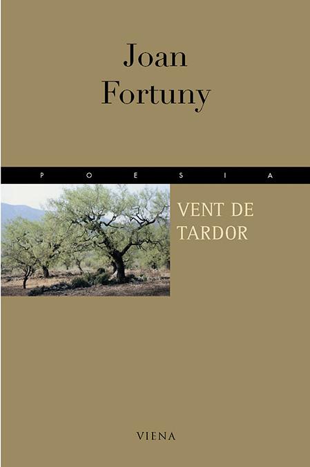 VENT DE TARDOR | 9788483301609 | FORTUNY,JOAN