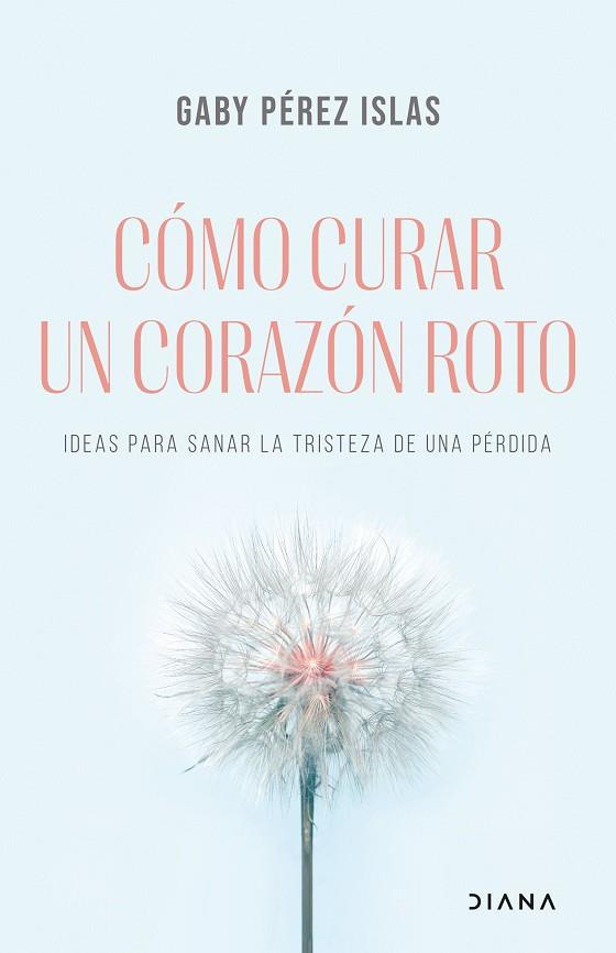 CÓMO CURAR UN CORAZÓN ROTO. IDEAS PARA SANAR LA TRISTEZA DE UNA PÉRDIDA | 9788411190701 | PÉREZ ISLAS, GABY