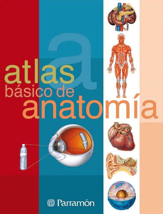 ATLAS BASICO DE ANATOMIA | 9788434223141 | CASSAN, ADOLFO/MUÑOZ TENLLADO, ANTONIO