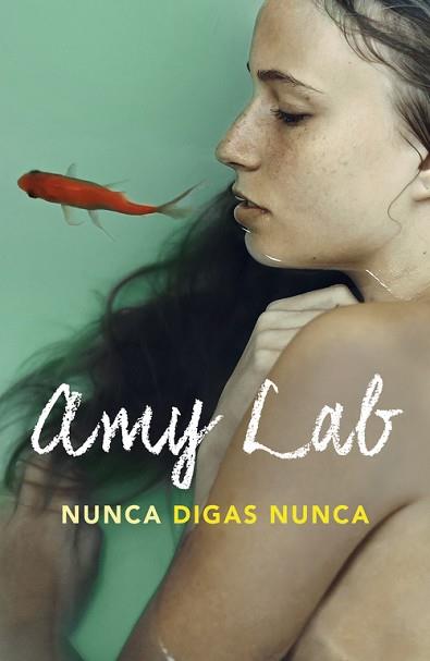 NUNCA DIGAS NUNCA | 9788420484075 | LAB,AMY