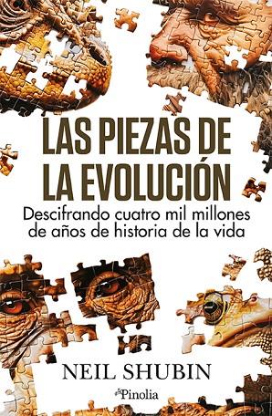 LAS PIEZAS DE LA EVOLUCIÓN. DESCIFRANDO CUATRO MIL MILLONES DE AÑOS DE HISTORIA DE LA VIDA | 9788419878649 | NEIL SHUBIN