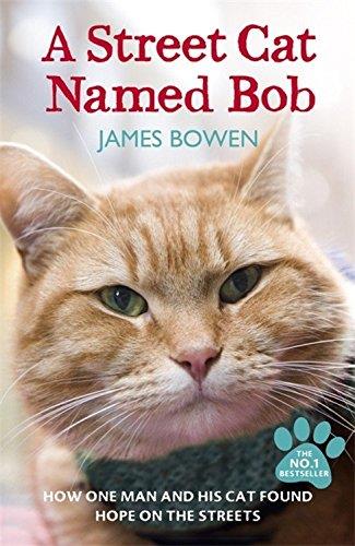 A STREET CAT NAMED BOB | 9781444737110 | BOWEN,JAMES