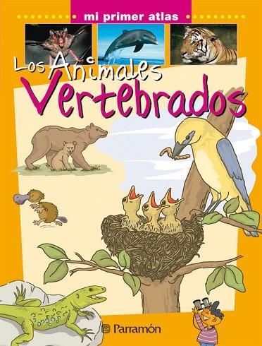 ANIMALES VERTEBRADOS | 9788434227118 | MARCET, XAVIER