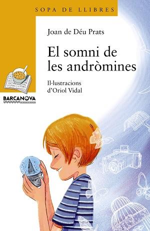 SOMNI DE LES ANDROMINES | 9788448933999 | DEU PRATS,JOAN DE