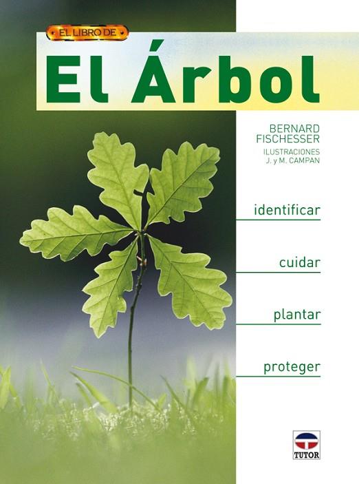 LIBRO DEL ARBOL. IDENTIFICAR Y CUIDAR LAS PLANTAS | 9788479027834 | FISCHESSER,BERNARD