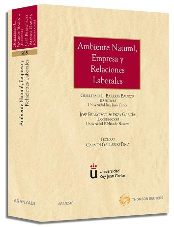 AMBIENTE NATURAL, EMPRESA Y RELACIONES LABORALES | 9788499032283 | ALENZA GARCIA,JOSE FRANCISCO BARRIOS BAUDOR,GUILLERMO