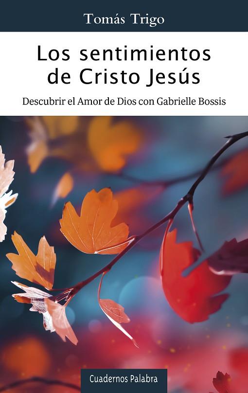 LOS SENTIMIENTOS DE CRISTO JESÚS. DESCUBRIR EL AMOR DE DIOS CON GABRIELLE BOSSIS | 9788413683003 | TRIGO, TOMÁS